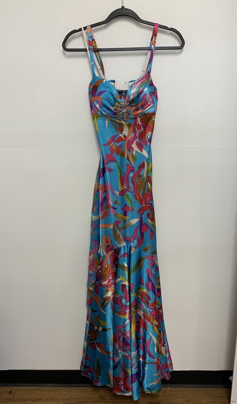 Vintage Cache Size 4 Gown Formal Maxi Dress Silk Y2K Fairy Hoco Glam Baddie Prom